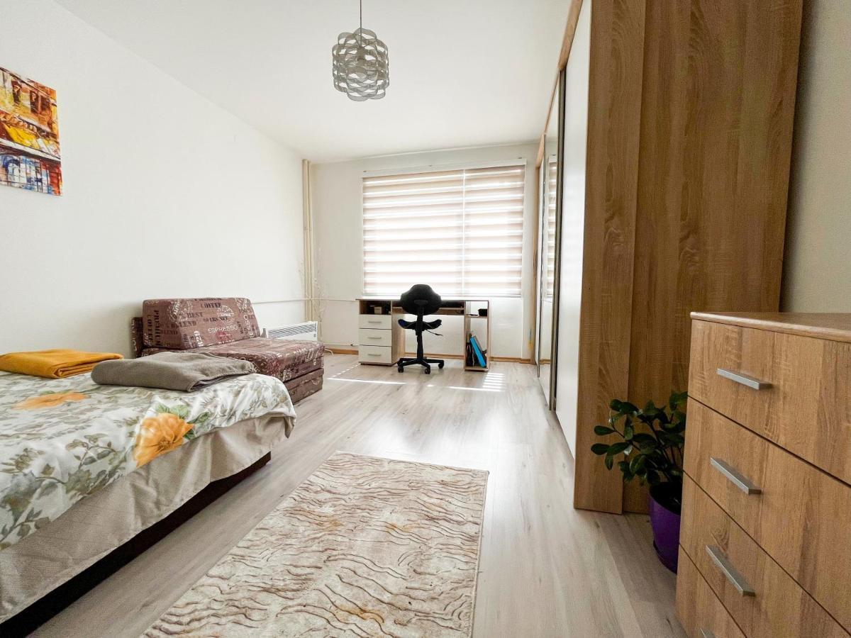 Sova Apartment Vrsac Exterior photo