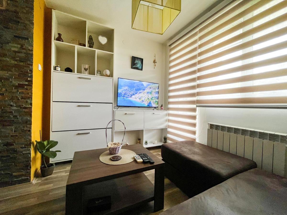 Sova Apartment Vrsac Exterior photo